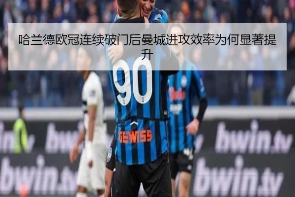img_1788208930907_3500_0_477.jpg